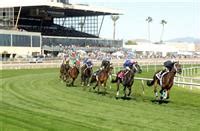 turf paradise entries and results