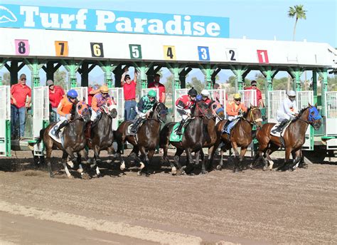 turf paradise entries for today