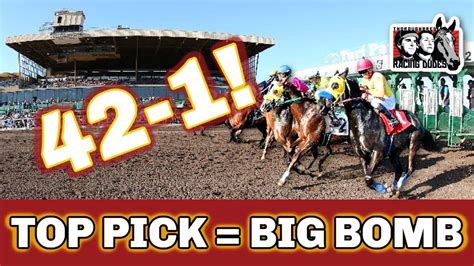 turf paradise picks racing dudes