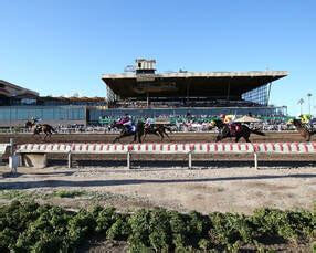 turf paradise race track condition book