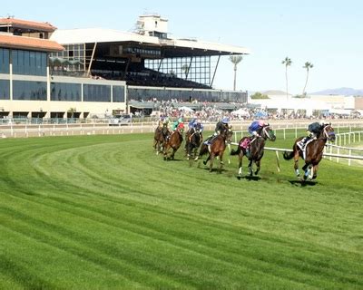 turf paradise racetrack selections