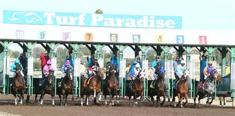 turf paradise racing picks today