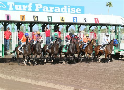 turf paradise racing schedule 2024