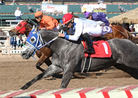 turf paradise results today
