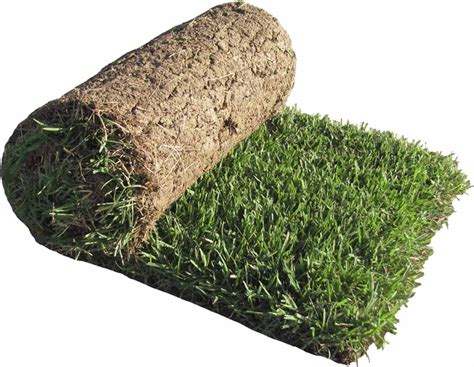 turf sod for sale
