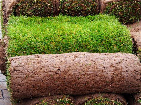 turf suppliers brisbane