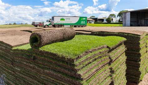 turf suppliers near me