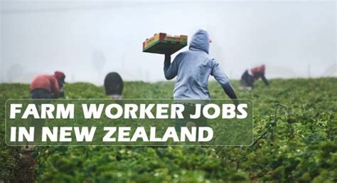 turfnet jobs new zealand
