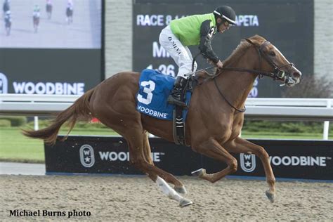 turfway park racetrack weather