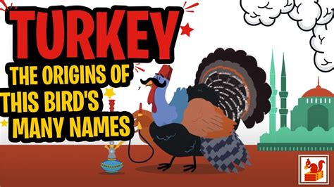 Turkey Bird Name Origin