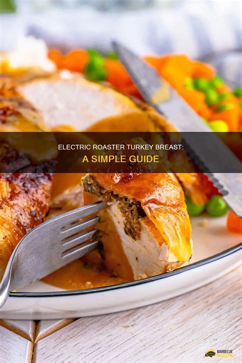 Turkey Breast Electric Roaster