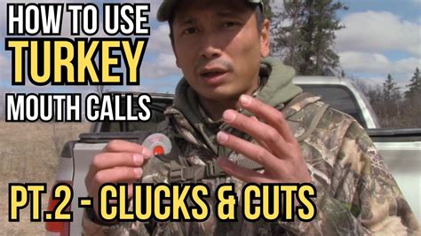 Turkey Call Sound Bite