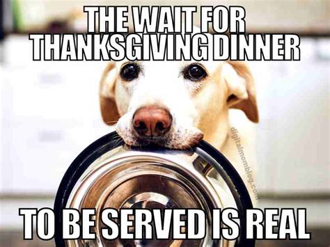 Turkey Dinner Meme
