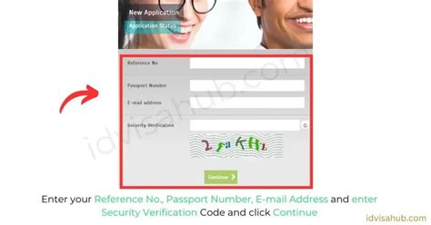 Turkey E-Visa Security Verification Code Is Invalid