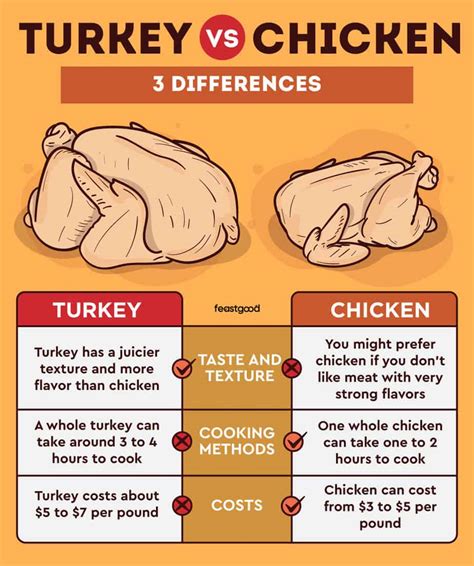 Turkey Meat Taste