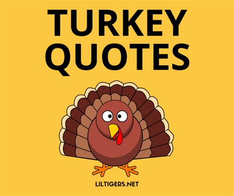 Turkey Quote