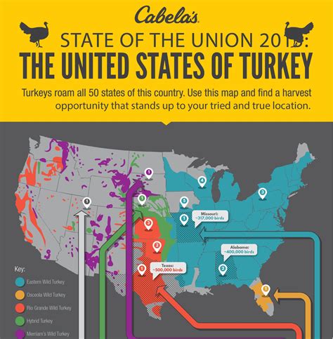 turkey seasons by state 2024