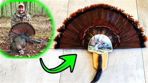 Turkey Tail Mount Diy