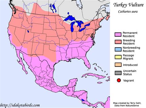 Turkey Vulture Distribution