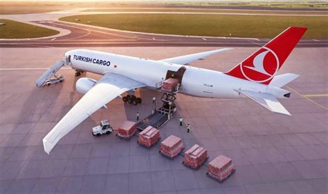 turkish airline cargo track