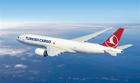 turkish airlines cargo maroc