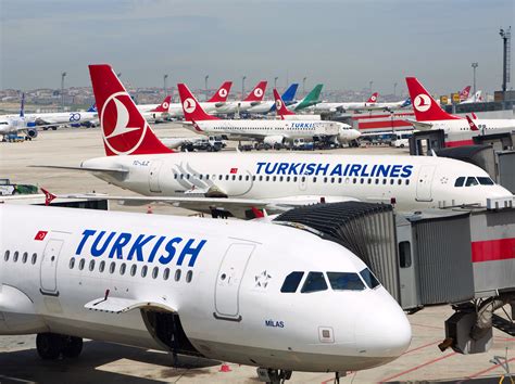 turkish airlines cheap flights to istanbul