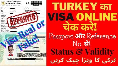 turkish visa status check