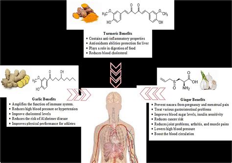 Turmeric Spice Interaction