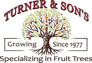 turner and sons nursery mcminnville tn