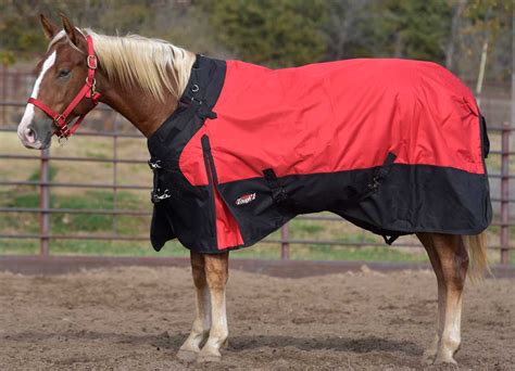 turnout horse blankets