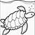 turtle color page