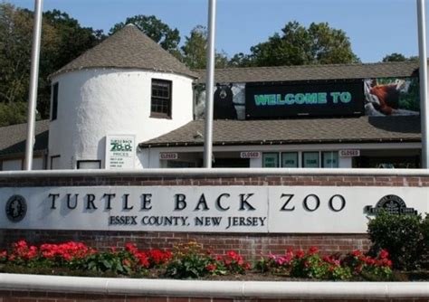 Turtle Back Zoo Hiring