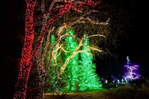 Turtle Bay Christmas Lights