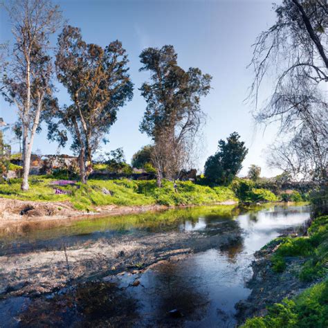 Turtle Creek Concord