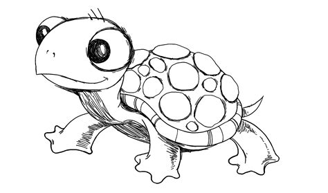 Turtle Drawings