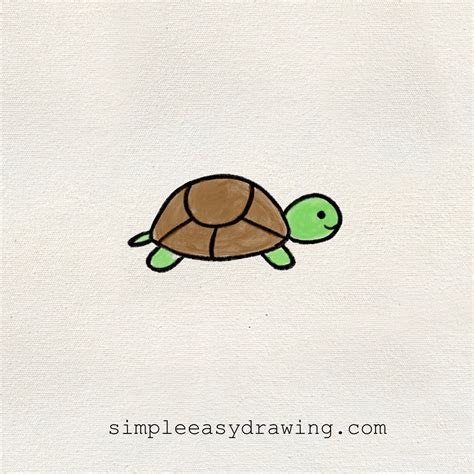 Turtle Easy Drawing