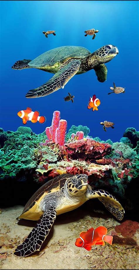 Green Turtle In Blue Sea 4K HD Animals Wallpapers HD Wallpapers ID