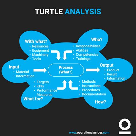 Turtle Model Process