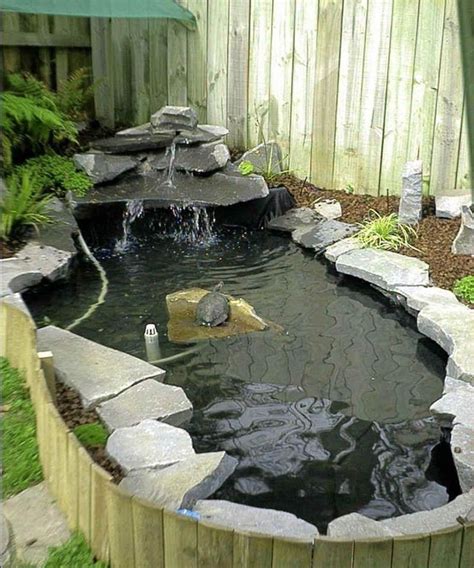 Turtle Ponds For Backyard