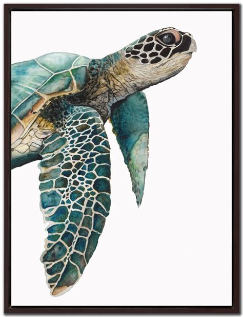 Turtle Poster Ideas