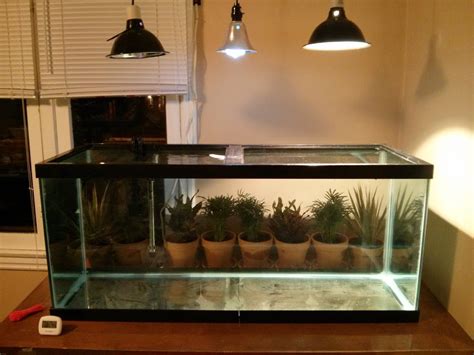 Turtle Tank Setup