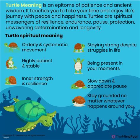 Turtle Turtle Meaning