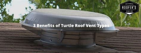 Turtle Vent Roof
