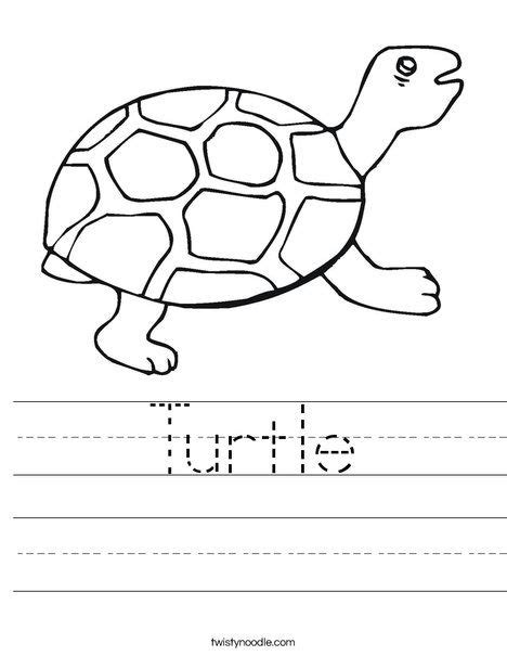 Turtle Worksheets For Kindergarten