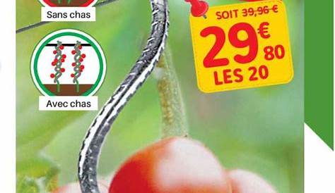 Tuteur Tomate Avec Chas à Lot De 5 Gris 5.9 Cm Vente
