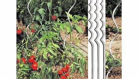 Tuteur Tomate Gamm Vert à Réserve D'eau H 150 Cm Intermas