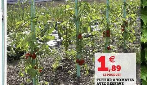 Tuteur Tomate Super U Cerise, , Catégorie Extra, France, Barquette, 250g