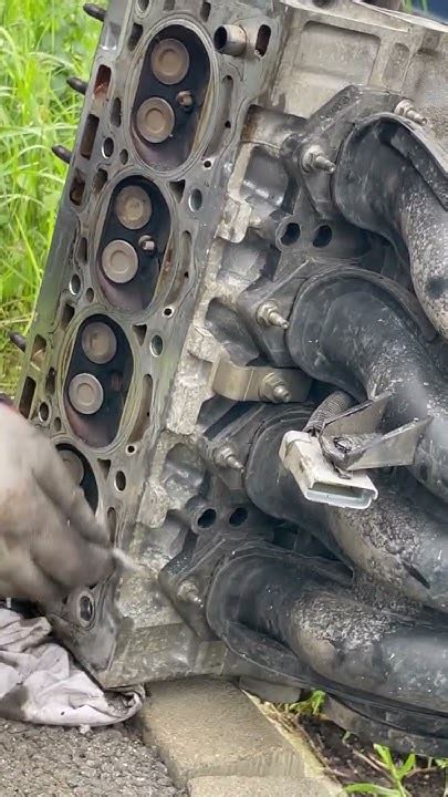 tutorial On How To reap A brawn automobile