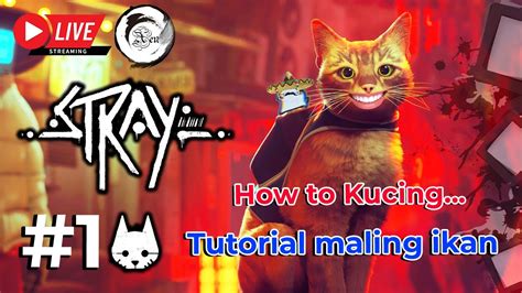 tutorial jadi kucing