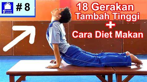 tutorial tinggi badan